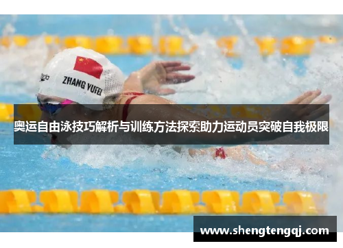 奥运自由泳技巧解析与训练方法探索助力运动员突破自我极限